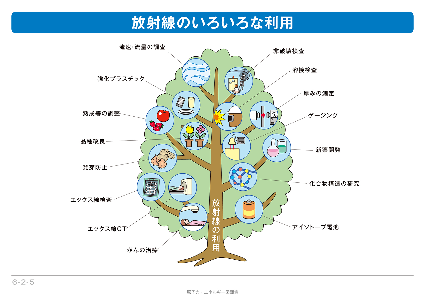 6 2 5 放射線のいろいろな利用 エネ百科 きみと未来と