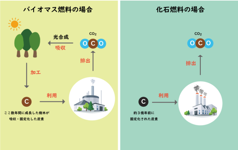 【動画でザックリ解説】カーボンニュートラルって？ エネ百科｜きみと未来と。